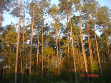 Enlarge photo 53