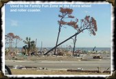 Enlarge photo 64