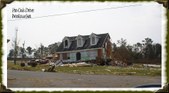 Enlarge photo 35