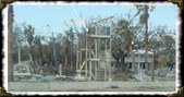 Enlarge photo 66