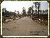 Enlarge photo 33