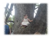 Enlarge photo 93
