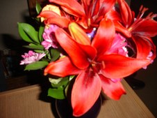 Enlarge photo 4