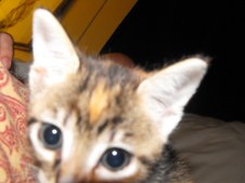 Enlarge photo 9