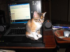 Enlarge photo 13