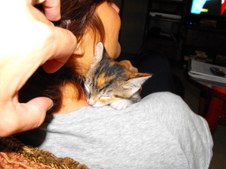 Enlarge photo 10