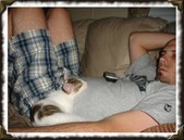 Enlarge photo 86