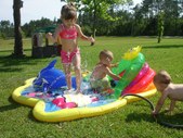 Enlarge photo 118