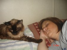 Enlarge photo 136