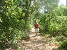 Enlarge photo 121