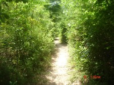 Enlarge photo 120
