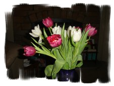 Enlarge photo 67