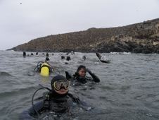 Enlarge photo 19