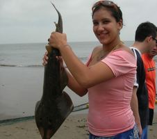 Enlarge photo 13