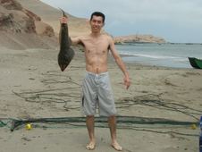 Enlarge photo 15