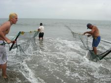 Enlarge photo 11