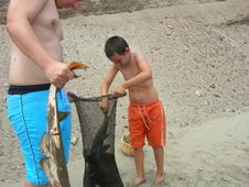 Enlarge photo 17