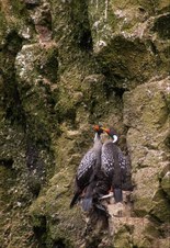 Enlarge photo 19