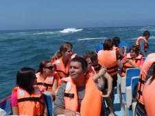 Enlarge photo 6