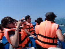 Enlarge photo 14