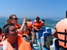 Enlarge photo 16