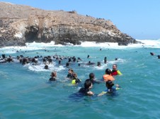 Enlarge photo 23