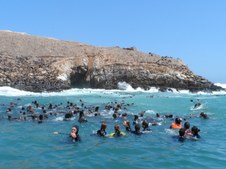 Enlarge photo 26