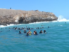 Enlarge photo 27