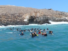 Enlarge photo 28