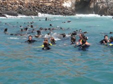 Enlarge photo 29