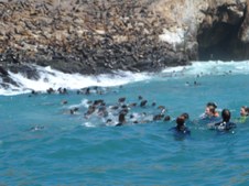 Enlarge photo 32