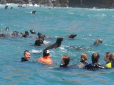 Enlarge photo 33