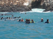 Enlarge photo 34