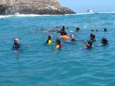 Enlarge photo 39
