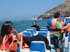 Enlarge photo 47