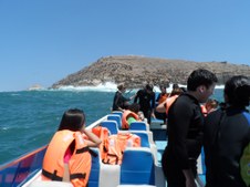Enlarge photo 54