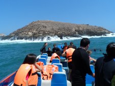 Enlarge photo 55