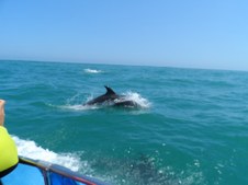 Enlarge photo 59