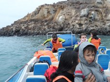 Enlarge photo 24