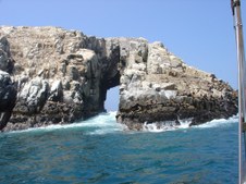 Enlarge photo 18