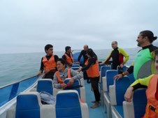 Enlarge photo 14