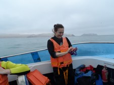 Enlarge photo 16