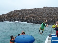 Enlarge photo 23