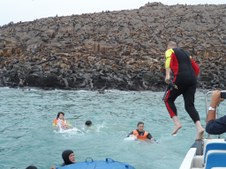 Enlarge photo 25
