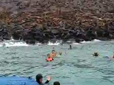 Enlarge MPEG4 82