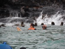 Enlarge photo 32