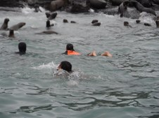 Enlarge photo 44