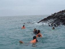 Enlarge photo 54