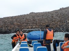 Enlarge photo 67