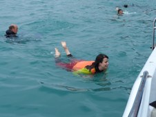 Enlarge photo 73
